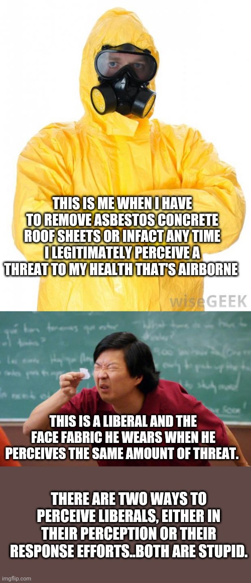 THIS IS ME WHEN I HAVE TO REMOVE ASBESTOS CONCRETE ROOF SHEETS OR INFACT ANY TIME I LEGITIMATELY PERCEIVE A THREAT TO MY HEALTH THAT'S AIRBORNE; THIS IS A LIBERAL AND THE FACE FABRIC HE WEARS WHEN HE PERCEIVES THE SAME AMOUNT OF THREAT. THERE ARE TWO WAYS TO PERCEIVE LIBERALS, EITHER IN THEIR PERCEPTION OR THEIR RESPONSE EFFORTS..BOTH ARE STUPID. | image tagged in hazmat,tiny piece of paper | made w/ Imgflip meme maker