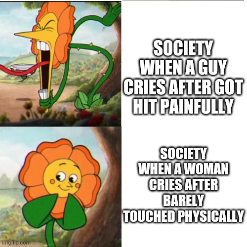 Cuphead Flower | SOCIETY WHEN A GUY CRIES AFTER GOT HIT PAINFULLY; SOCIETY WHEN A WOMAN CRIES AFTER BARELY TOUCHED PHYSICALLY | image tagged in cuphead flower | made w/ Imgflip meme maker