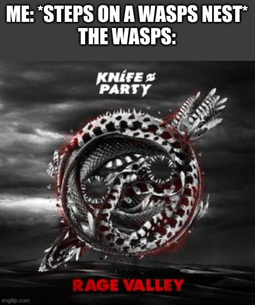 angery |  ME: *STEPS ON A WASPS NEST*
THE WASPS: | image tagged in rage valley,wasp | made w/ Imgflip meme maker