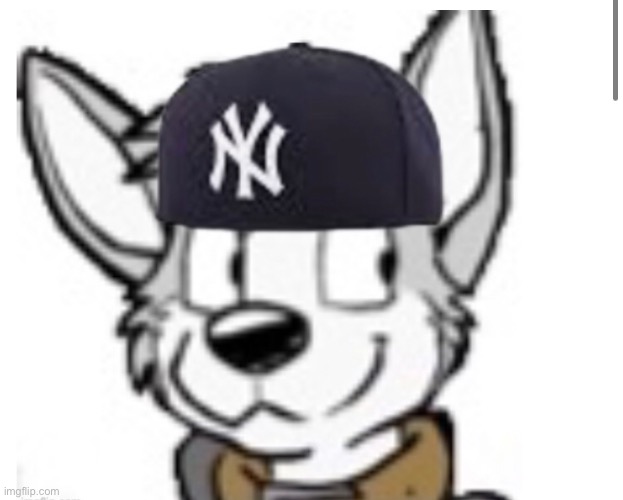 image tagged in housepets_irl | made w/ Imgflip meme maker