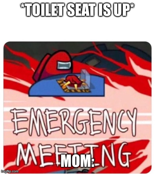 When you forgot to put the toilet seat down | *TOILET SEAT IS UP*; MOM: | image tagged in emergency meeting among us,chores,funny,memes | made w/ Imgflip meme maker