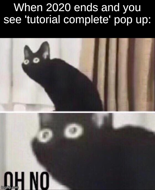 Oh no cat |  When 2020 ends and you see 'tutorial complete' pop up: | image tagged in oh no cat | made w/ Imgflip meme maker