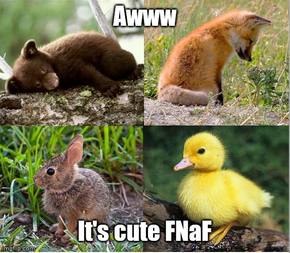 floof_ | Awww; It's cute FNaF | image tagged in fnaf | made w/ Imgflip meme maker