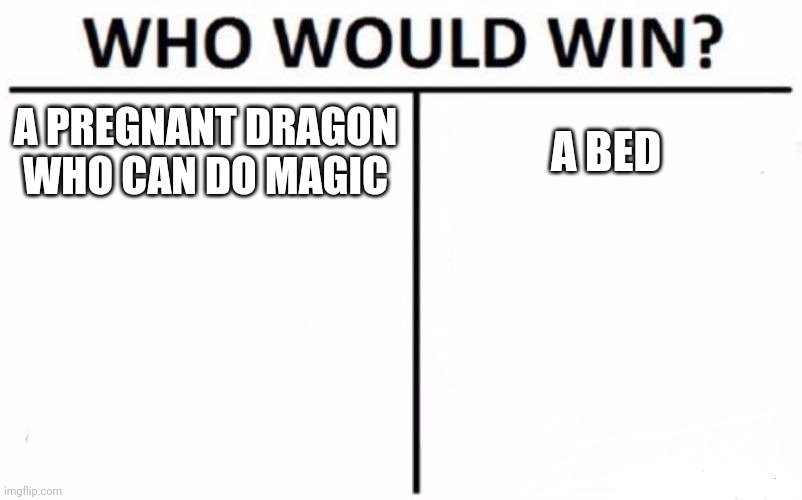 Who Would Win? Meme | A PREGNANT DRAGON WHO CAN DO MAGIC; A BED | image tagged in memes,who would win | made w/ Imgflip meme maker