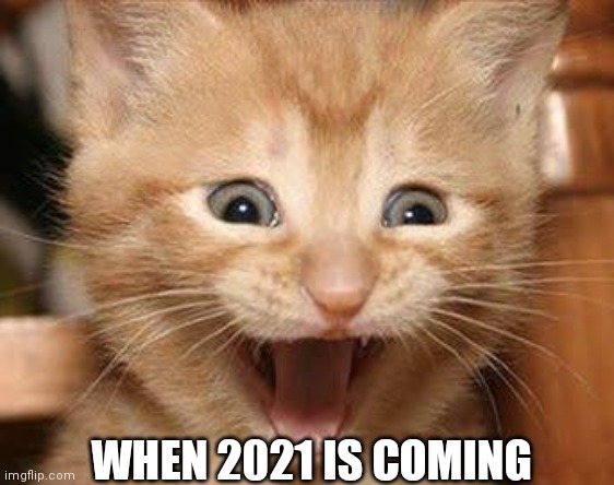 A happy cat | WHEN 2021 IS COMING | image tagged in memes,excited cat | made w/ Imgflip meme maker