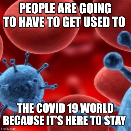 virus  | PEOPLE ARE GOING TO HAVE TO GET USED TO; THE COVID 19 WORLD BECAUSE IT’S HERE TO STAY | image tagged in virus | made w/ Imgflip meme maker