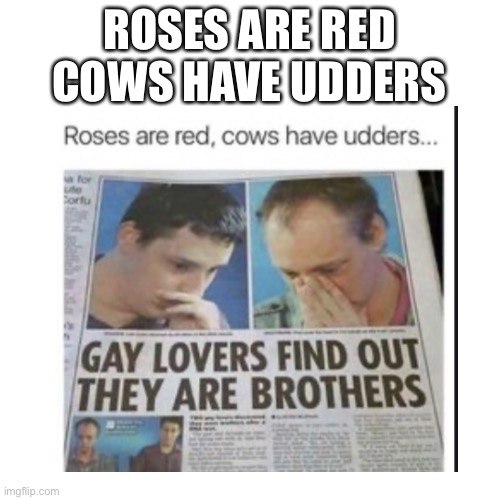 Lol | ROSES ARE RED
COWS HAVE UDDERS | image tagged in memes | made w/ Imgflip meme maker