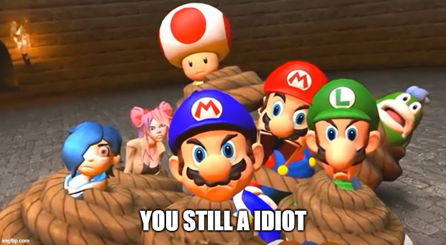 When you really screw up in SMG4 | YOU STILL A IDIOT | image tagged in when you really screw up in smg4 | made w/ Imgflip meme maker