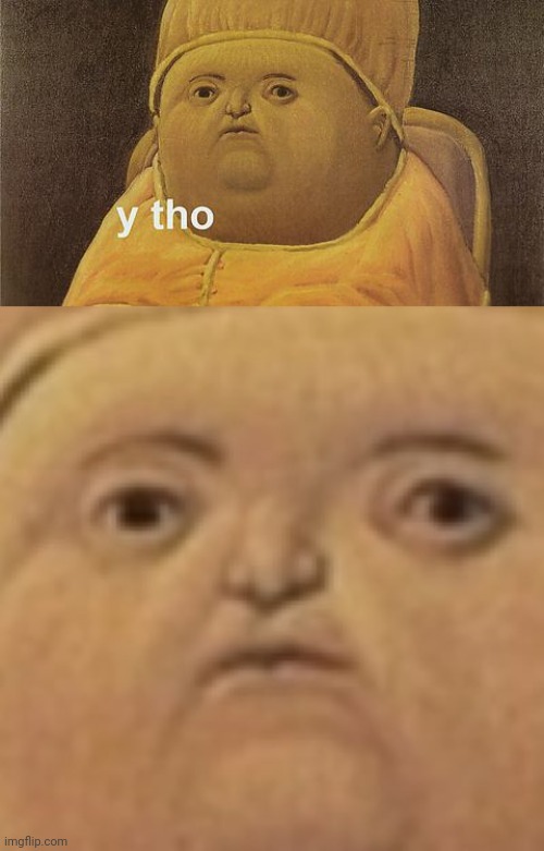 image tagged in y tho | made w/ Imgflip meme maker