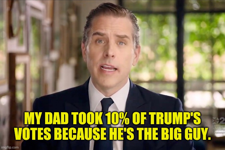 Hunter Biden | MY DAD TOOK 10% OF TRUMP'S VOTES BECAUSE HE'S THE BIG GUY. | image tagged in hunter biden | made w/ Imgflip meme maker