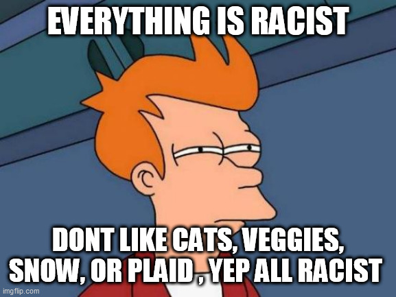 Futurama Fry Meme | EVERYTHING IS RACIST; DONT LIKE CATS, VEGGIES, SNOW, OR PLAID , YEP ALL RACIST | image tagged in memes,futurama fry | made w/ Imgflip meme maker