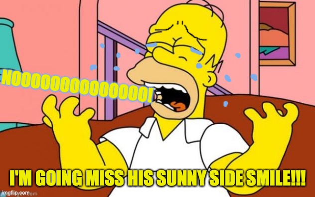 Homer mourns for Humpty Dumpty. | NOOOOOOOOOOOOOO! I'M GOING MISS HIS SUNNY SIDE SMILE!!! | image tagged in nooooo,humpty dumpty,homer simpson,crying,egg,dumb meme | made w/ Imgflip meme maker