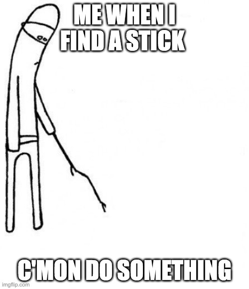 c'mon do something |  ME WHEN I FIND A STICK; C'MON DO SOMETHING | image tagged in c'mon do something | made w/ Imgflip meme maker