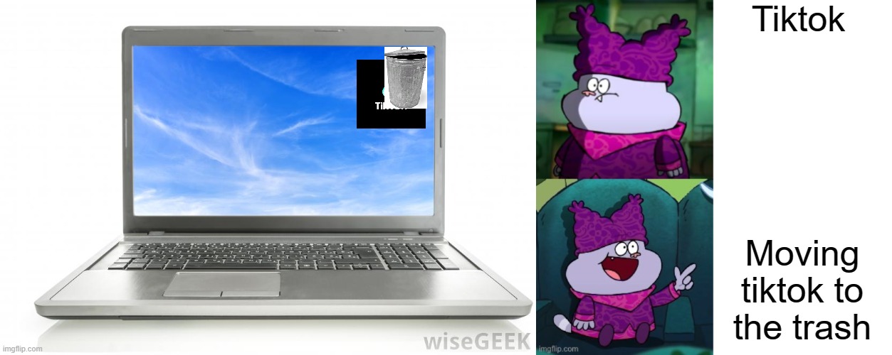 Tiktok; Moving tiktok to the trash | image tagged in computer,chowder format | made w/ Imgflip meme maker