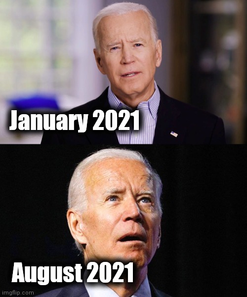 This is going to be fun ! | January 2021; August 2021 | image tagged in joe biden 2020,this is where the fun begins,senile,magoo,seniors | made w/ Imgflip meme maker