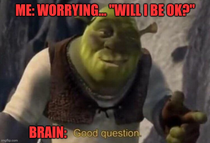 Shrek good question | ME: WORRYING... "WILL I BE OK?"; BRAIN: | image tagged in shrek good question | made w/ Imgflip meme maker