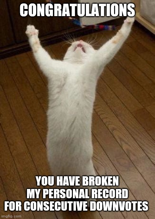 Hooray Cat | CONGRATULATIONS YOU HAVE BROKEN MY PERSONAL RECORD FOR CONSECUTIVE DOWNVOTES | image tagged in hooray cat | made w/ Imgflip meme maker