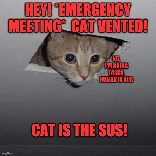 Ceiling Cat Meme | HEY! *EMERGENCY MEETING*  CAT VENTED! NO, I'M DOING TASKS, HUMAN IS SUS; CAT IS THE SUS! | image tagged in memes,ceiling cat | made w/ Imgflip meme maker