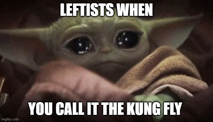 LEFTISTS WHEN YOU CALL IT THE KUNG FLY | image tagged in crying baby yoda | made w/ Imgflip meme maker