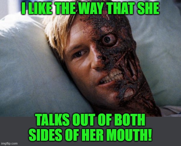 Two Face | I LIKE THE WAY THAT SHE TALKS OUT OF BOTH SIDES OF HER MOUTH! | image tagged in two face | made w/ Imgflip meme maker