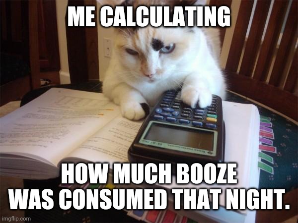 Math cat | ME CALCULATING HOW MUCH BOOZE WAS CONSUMED THAT NIGHT. | image tagged in math cat | made w/ Imgflip meme maker