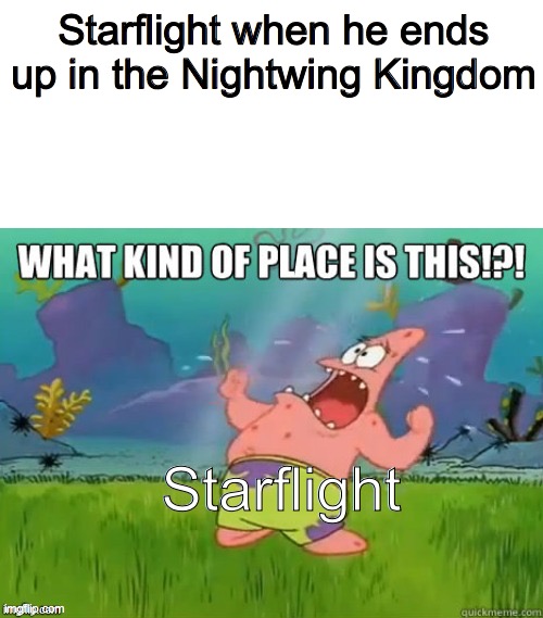 What kind of place is this? | Starflight when he ends up in the Nightwing Kingdom; Starflight | image tagged in what kind of place is this,patrick star,patrick,wings of fire | made w/ Imgflip meme maker