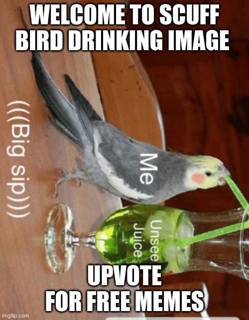 Unsee juice | WELCOME TO SCUFF BIRD DRINKING IMAGE; UPVOTE FOR FREE MEMES | image tagged in unsee juice | made w/ Imgflip meme maker