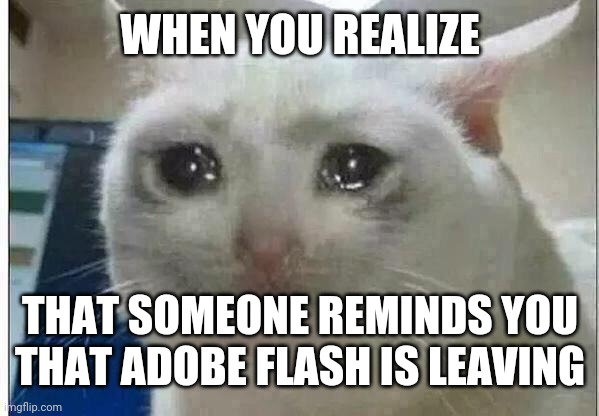 crying cat | WHEN YOU REALIZE THAT SOMEONE REMINDS YOU THAT ADOBE FLASH IS LEAVING | image tagged in crying cat | made w/ Imgflip meme maker