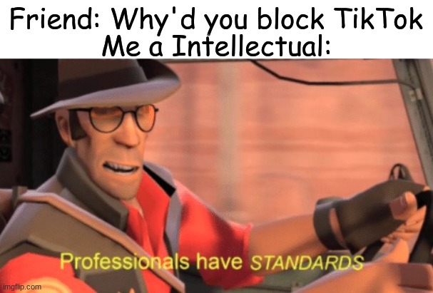 Standards | Friend: Why'd you block TikTok; Me a Intellectual: | image tagged in professionals have standards | made w/ Imgflip meme maker