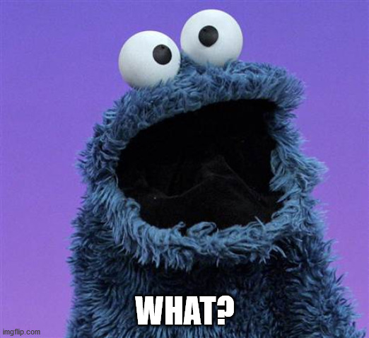 cookie monster | WHAT? | image tagged in cookie monster | made w/ Imgflip meme maker
