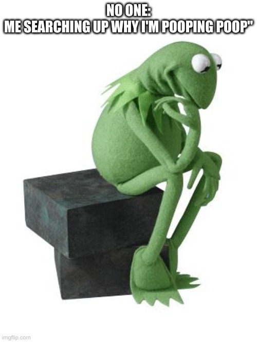 Philosophy Kermit | NO ONE:
ME SEARCHING UP WHY I'M POOPING POOP" | image tagged in philosophy kermit | made w/ Imgflip meme maker