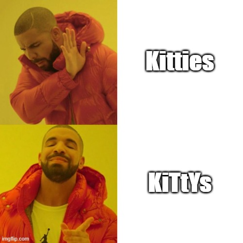 Drake Blank | Kitties; KiTtYs | image tagged in drake blank | made w/ Imgflip meme maker