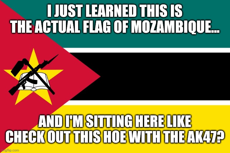 Really Mozambique? | I JUST LEARNED THIS IS THE ACTUAL FLAG OF MOZAMBIQUE... AND I'M SITTING HERE LIKE CHECK OUT THIS HOE WITH THE AK47? | image tagged in funny | made w/ Imgflip meme maker