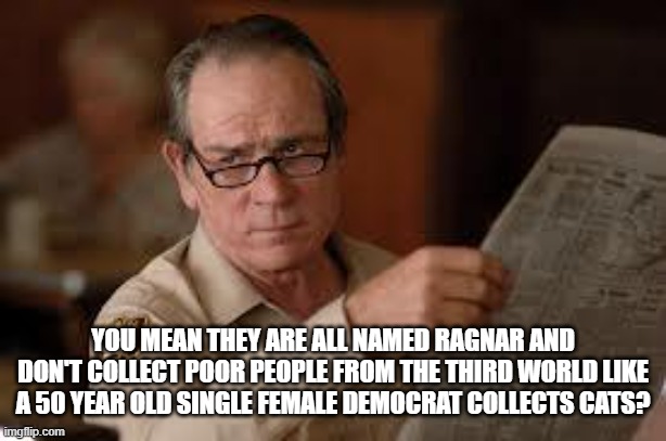 no country for old men tommy lee jones | YOU MEAN THEY ARE ALL NAMED RAGNAR AND DON'T COLLECT POOR PEOPLE FROM THE THIRD WORLD LIKE A 50 YEAR OLD SINGLE FEMALE DEMOCRAT COLLECTS CAT | image tagged in no country for old men tommy lee jones | made w/ Imgflip meme maker