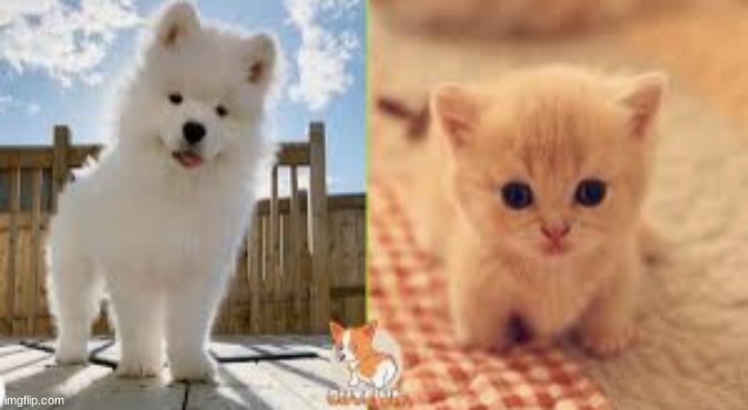 h a p | made w/ Imgflip meme maker