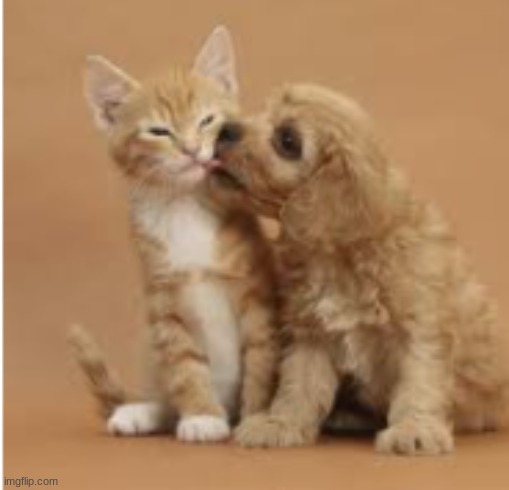 h a p | made w/ Imgflip meme maker