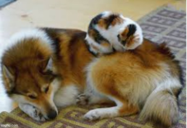 h a pp | made w/ Imgflip meme maker