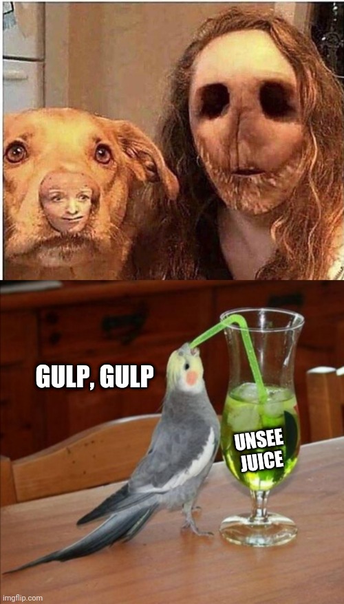 Big ol gulp of unsee juice | GULP, GULP; UNSEE JUICE | image tagged in diy unsee juice meme | made w/ Imgflip meme maker
