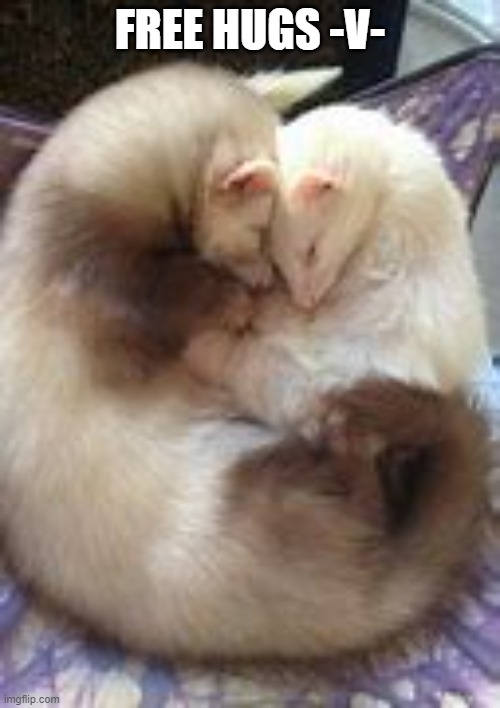 FREE HUGS -V- | made w/ Imgflip meme maker