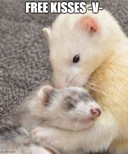 (dare) do not take it to far..... | FREE KISSES -V- | made w/ Imgflip meme maker