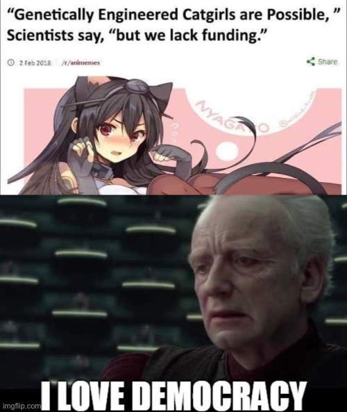 I love democracy | image tagged in i love democracy,meme,funny,funny meme,cat girl,star wars | made w/ Imgflip meme maker