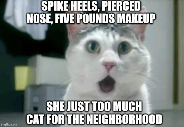 OMG Cat | SPIKE HEELS, PIERCED NOSE, FIVE POUNDS MAKEUP; SHE JUST TOO MUCH CAT FOR THE NEIGHBORHOOD | image tagged in memes,omg cat | made w/ Imgflip meme maker