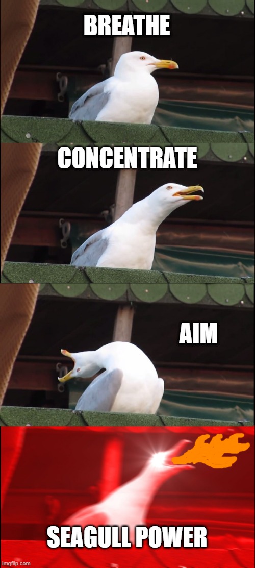 Firebender | BREATHE; CONCENTRATE; AIM; SEAGULL POWER | image tagged in memes,inhaling seagull | made w/ Imgflip meme maker