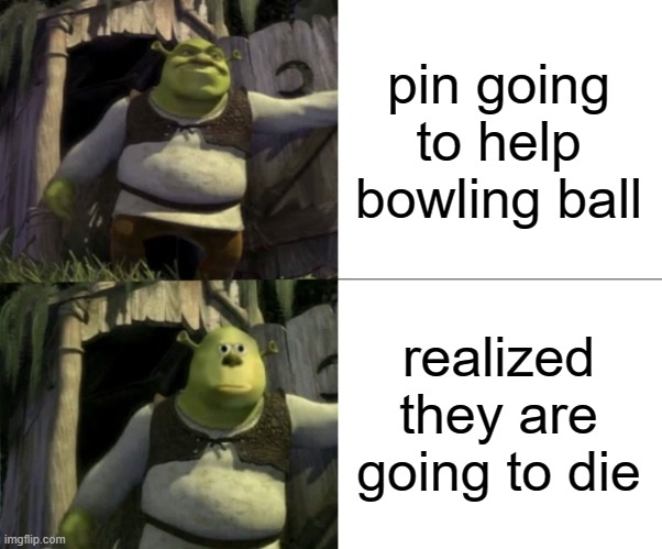 Shocked Shrek Face Swap | pin going to help bowling ball realized they are going to die | image tagged in shocked shrek face swap | made w/ Imgflip meme maker