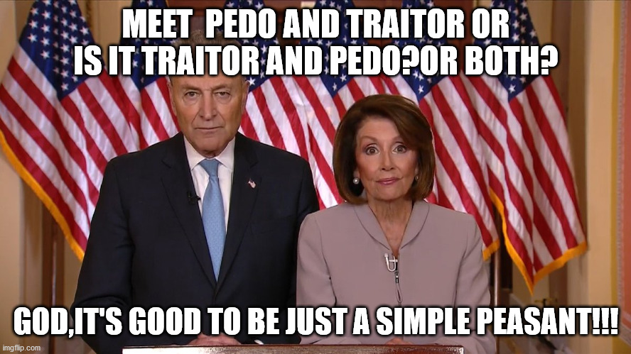 ROPES PLEASE! | MEET  PEDO AND TRAITOR OR IS IT TRAITOR AND PEDO?OR BOTH? GOD,IT'S GOOD TO BE JUST A SIMPLE PEASANT!!! | image tagged in chuck and nancy | made w/ Imgflip meme maker