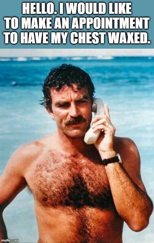 Chest Wax Appointment | HELLO. I WOULD LIKE TO MAKE AN APPOINTMENT TO HAVE MY CHEST WAXED. | image tagged in chest,magnum pi,shirtless,funny,wtf,meme | made w/ Imgflip meme maker