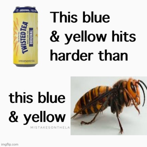 Twisted tea vs murder hornets | image tagged in tea,murder hornets | made w/ Imgflip meme maker