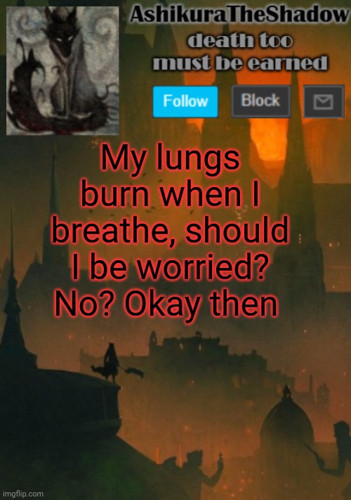 ashikura | My lungs burn when I breathe, should I be worried? No? Okay then | image tagged in ashikura | made w/ Imgflip meme maker
