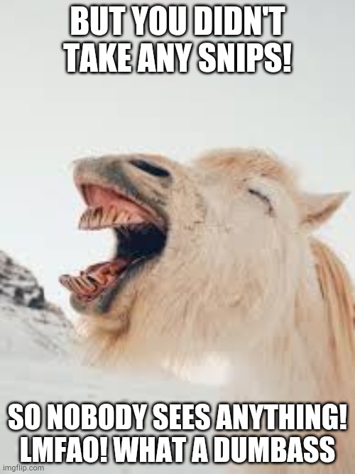 Laughin' Laama | BUT YOU DIDN'T TAKE ANY SNIPS! SO NOBODY SEES ANYTHING! LMFAO! WHAT A DUMBASS | image tagged in laughin' laama | made w/ Imgflip meme maker