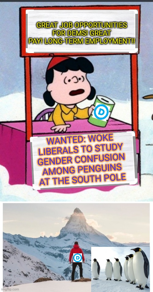 One way to get rid of them-  We need plenty of programs like this | GREAT JOB OPPORTUNITIES FOR DEMS! GREAT PAY! LONG-TERM EMPLOYMENT!! WANTED: WOKE LIBERALS TO STUDY GENDER CONFUSION AMONG PENGUINS AT THE SOUTH POLE | image tagged in liberal logic,libtards,butthurt liberals | made w/ Imgflip meme maker